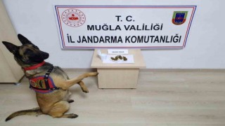 Jandarma 4 günde 147 operasyon yaptı