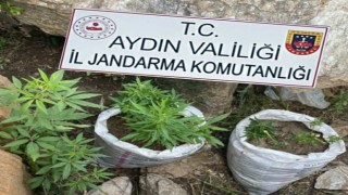 Jandarmadan uyuşturucu baskını: 4 gözaltı