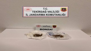 Jandarmadan uyuşturucu operasyonu: Bonzai ele geçirildi