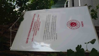 Japonyadaki Türk seçmenler cumhurbaşkanı seçiminin 2. turu için sandık başında
