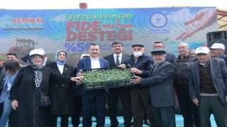 Kahramankazanda çiftçilere 1 milyon 500 bin fide desteği