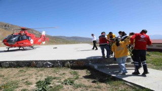 Kalp krizi geçiren vatandaş ambulans helikopterle Vana sevk edildi