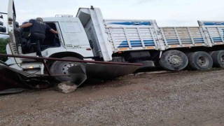Kamyon sürücüsü direksiyonu başında ölü bulundu