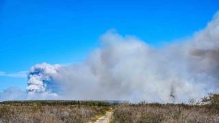 Kanadada orman yangınlarının yaşandığı bölge tahliye ediliyor