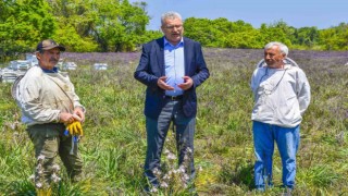 Karacabeyde Longoz ormanlarında görsel şölen