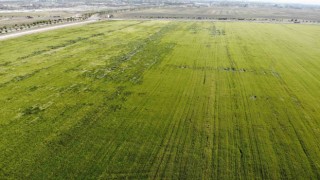 Karadenizden çıkan doğal gazla kurulacak gübre fabrikaları çiftçileri umutlandırdı