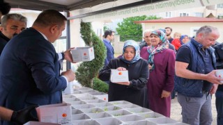 Kastamonuda vatandaşlara ücretsiz ata tohumu fidesi dağıtılacak