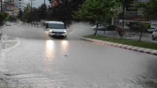 Kavakta sağanak
