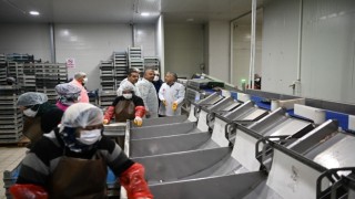 Kayserideki tesiste günlük 60 ton balık işleniyor