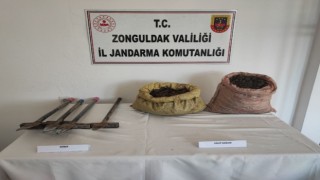 Kdz Ereğlide 32,2 kilo salep soğanı ele geçirildi