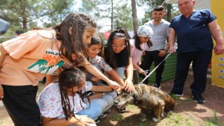 Kepezin Pati Atölyesinden sokak hayvanlarına yuva