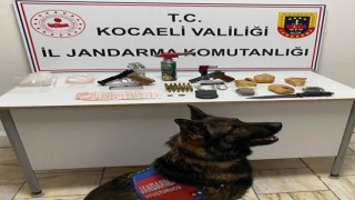 Kocaeli Jandarmadan uyuşturucu operasyonu