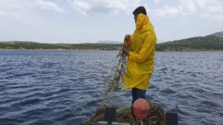 Konyada 2 bin metre sahipsiz ağ ve elektroşok malzemeleri ele geçirildi