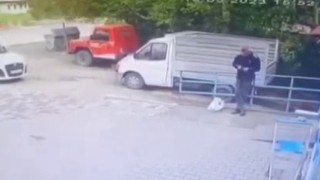 Köpeğin tavuk hırsızlığı kamerada