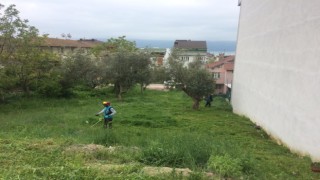Körfezde yabani ot biçme çalışmaları sürüyor