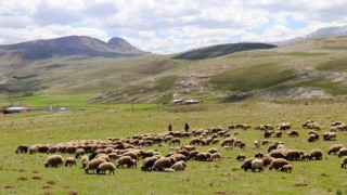 ‘Köyümde Yaşamak İçin Bir Sürü Nedenim Var projesi çitçilerin yüzünü güldürdü
