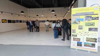 Kütahyada Dünya biyoçeşitlilik günü etkinlikleri