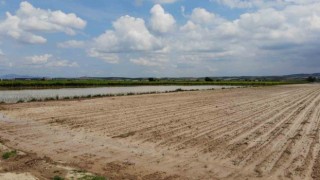 Manisada sel felaketi tarım arazilerini vurdu
