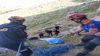 Mardinde kayalık alandan düşen şahıs iki gün sonra yaralı kurtarıldı
