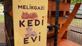 Melikgazi sokaklardaki can dostlar için kedi evleri yaptı