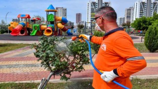 Mersin Büyükşehir Belediyesi ekipleri sahipsiz arazileri ilaçlıyor