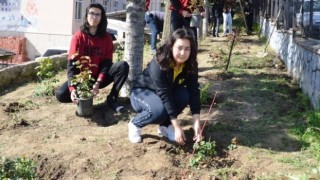 Mezun olan Simav Fen Lisesi öğrencileri okullarına birer gül dikerek veda ettiler