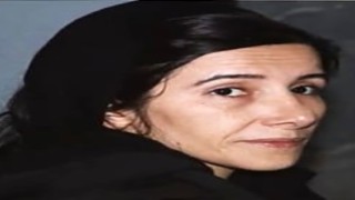 MİT, PKK/YPGnin Ayn El Arap Ekonomi Sorumlusu Tuba Karakoçu etkisiz hale getirdi