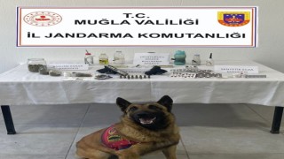 Muğlada uyuşturucu operasyonu: 3 gözaltı