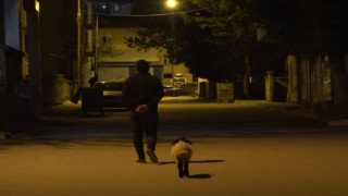 Muşta bebek gibi bakılan kuzu sahibinin peşinde çarşı pazar geziyor