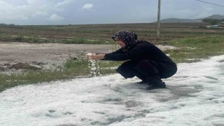 Nevşehirde 30 bin dekar ekili arazi doludan zarar gördü