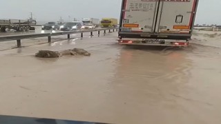 Niğdede etkili olan dolu tarım arazilerini vurdu