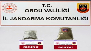 Orduda uyuşturucu operasyonu: 2 gözaltı