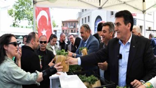 Osmangazi Belediyesi 1 milyon sebze fidesi dağıttı