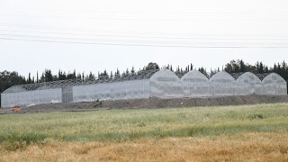 Osmaniye'de Çiçek üretim sahasındaki çalışmalar bitmek üzere