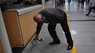 Otogarı mesken edinen Paslak yazıhanenin maskotu haline geldi