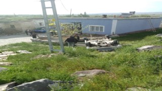 Otomobil şarampole devrildi: 3 Yaralı