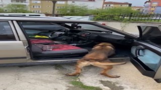Otomobildeki uyuşturucu zulası Ceku ile böyle tespit edildi