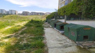 Otomobiliyle köpeği ezdi, umursamadan yoluna devam etti