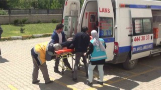 Oy kullanmak için sedye ve tekerlekli sandalyelerle okullara geldiler