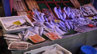 (ÖZEL) Balık tezgâhlarındaki bollaşması bekleniyor