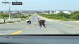 Patenli gençlerin ölümle dansı