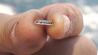 Pirinç tanesi ekmek kapısı oldu