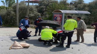 Polis ve jandarmadan yaralıyı koruma hassasiyeti