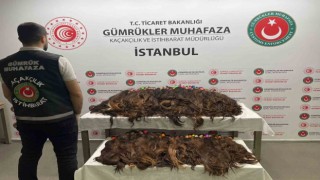 Sabiha Gökçen Havalimanında 68 kilo insan saçı ele geçirildi