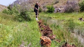 Salep soğanı toplayan 6 kişiye 678 bin lira ceza
