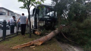 Samsunda 9 kişinin yaralandığı işçi servisi kazasında polis, yaralı karga yavrusuna da hastaneye götürdü