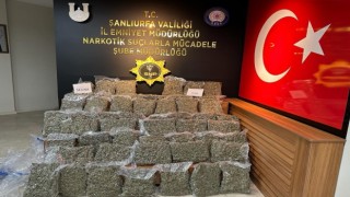 Şanlıurfada 50 kilogram skunk ele geçirildi