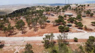 Şanlıurfaya yeni yeşil alanlar kazandırılıyor