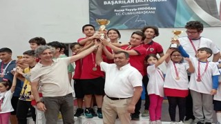 Satranç İl Şampiyonluğu, Sökenin oldu