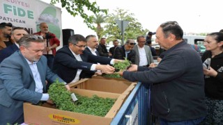Şehzadeler Belediyesi vatandaşlara 23 bin fide dağıttı